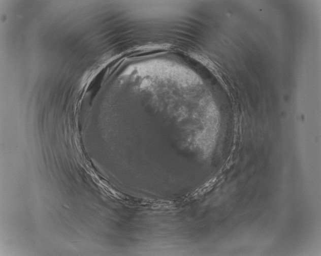 X0000074030337200609111719