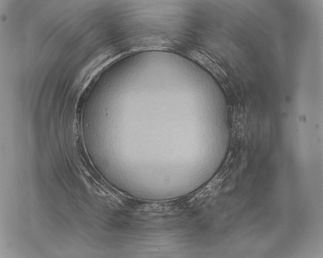 X0000074030338200609111719