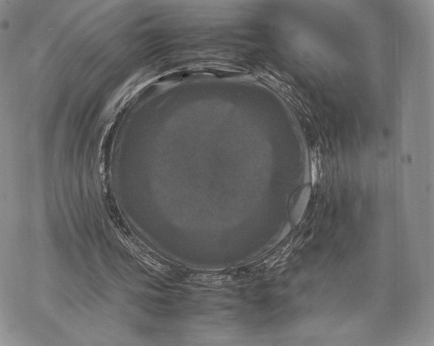 X0000074030339200609111719