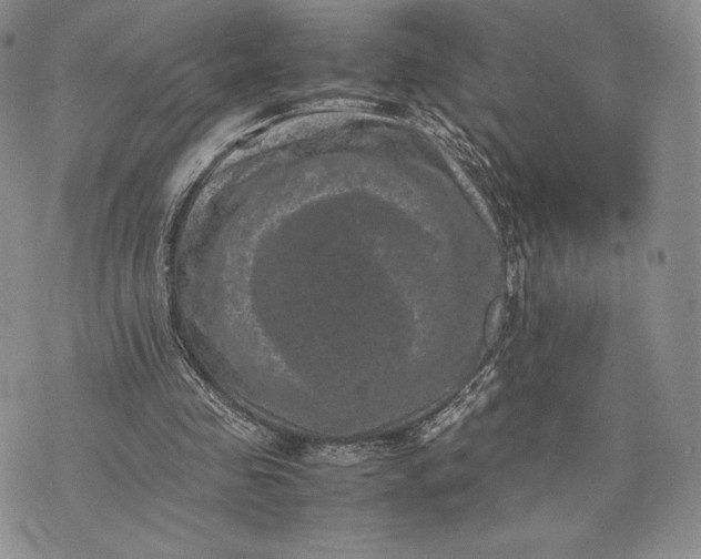 X0000074030341200609111719