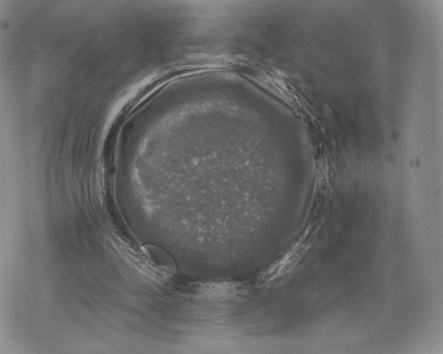 X0000074030342200609111719