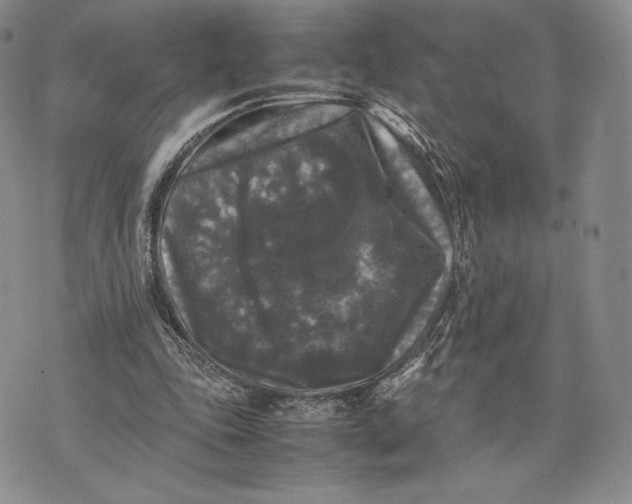 X0000074030343200609111719