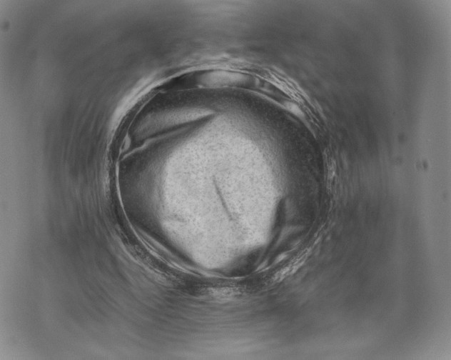 X0000074030344200609111719