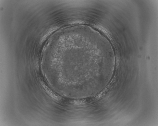 X0000074030345200609111719