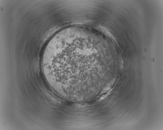 X0000074030346200609111719