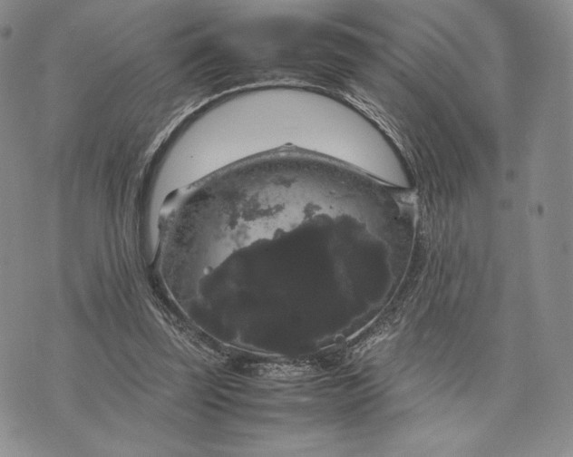 X0000074030347200609111719