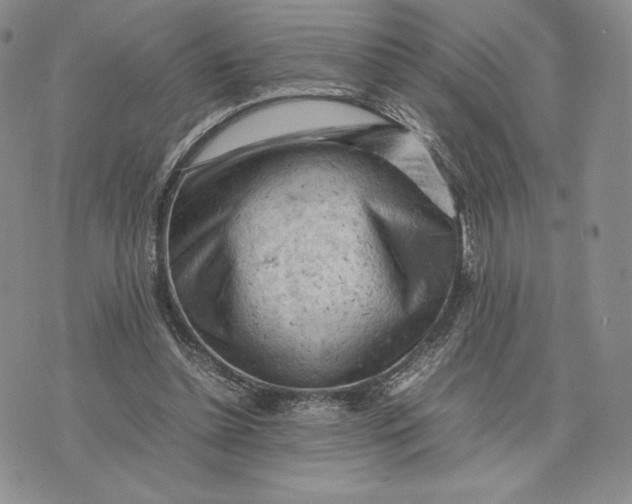 X0000074030348200609111719