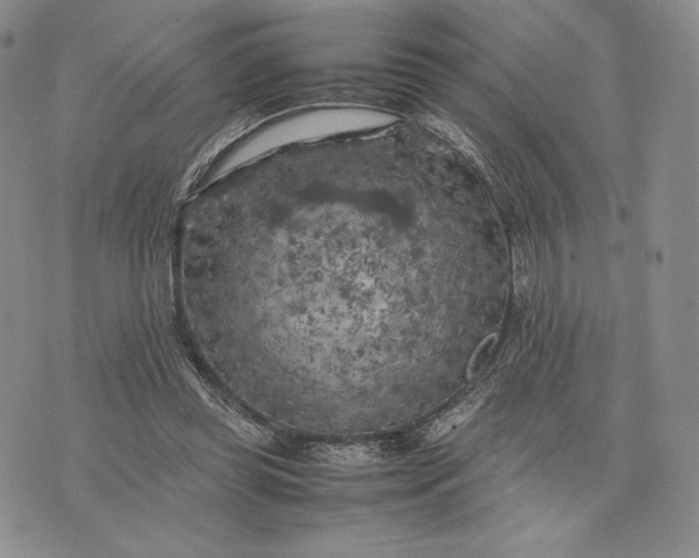 X0000074030349200609111719