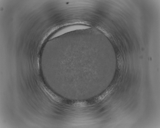 X0000074030350200609111719