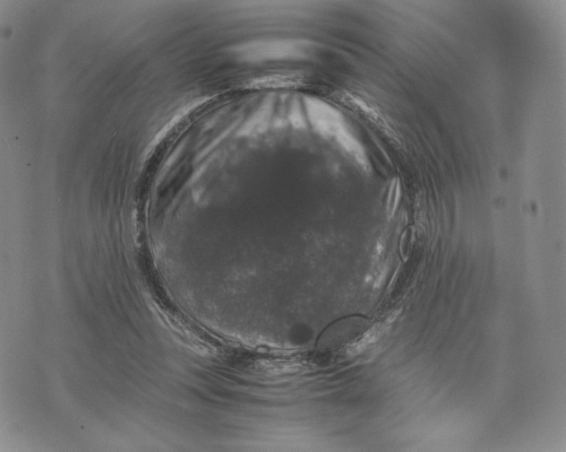 X0000074030351200609111719