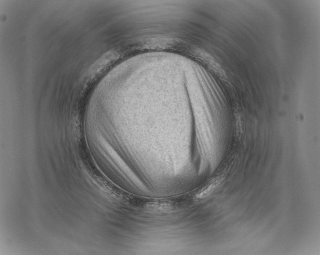 X0000074030354200609111720