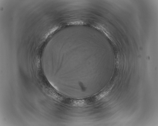 X0000074030355200609111720