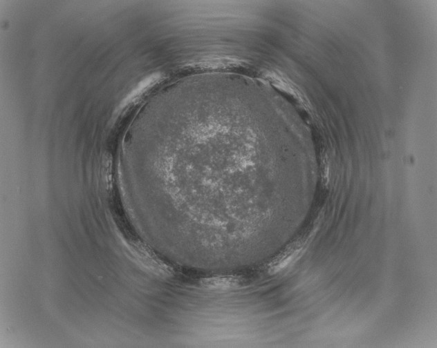 X0000074030356200609111720