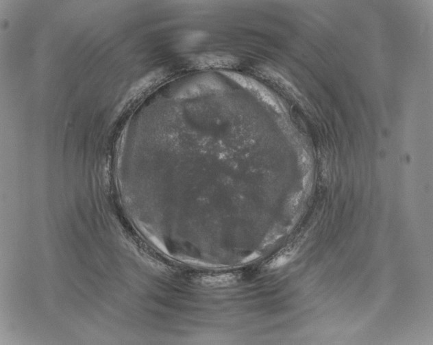 X0000074030357200609111720