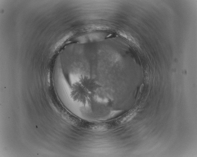 X0000074030358200609111720