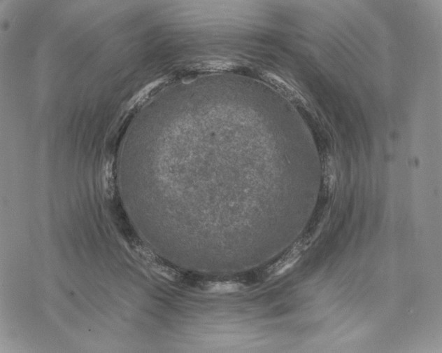 X0000074030360200609111720