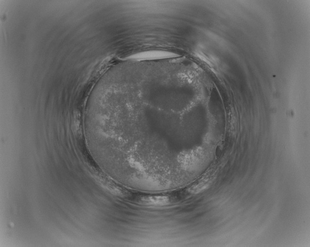 X0000074030361200609111720