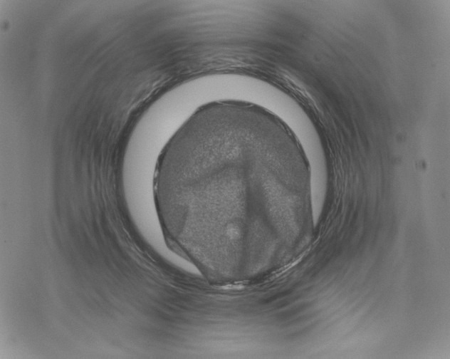 X0000074030362200609111720