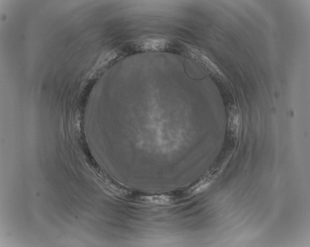 X0000074030363200609111720