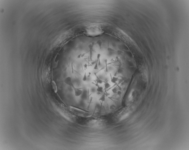 X0000074030364200609111720