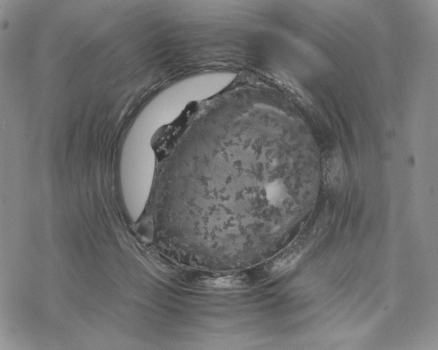 X0000074030365200609111720