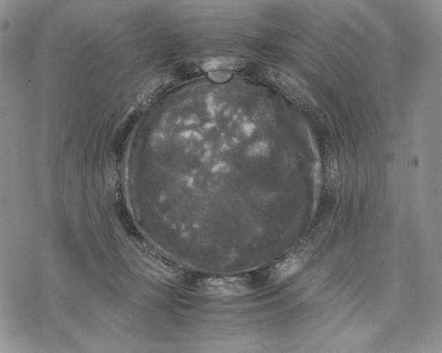 X0000074030367200609111720