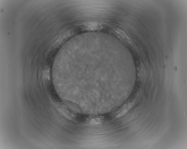 X0000074030368200609111720