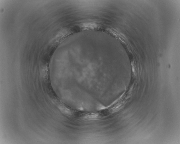 X0000074030369200609111720