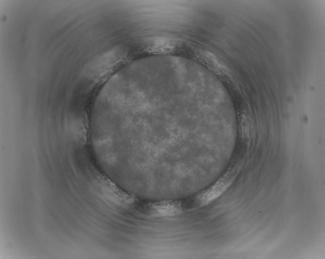 X0000074030370200609111720