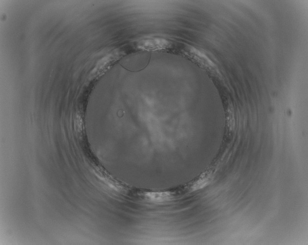 X0000074030371200609111720