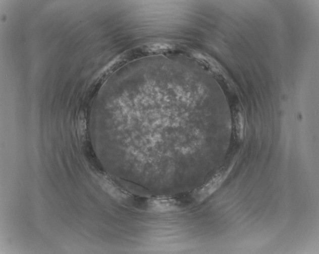 X0000074030372200609111720