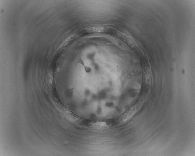 X0000074030374200609111720