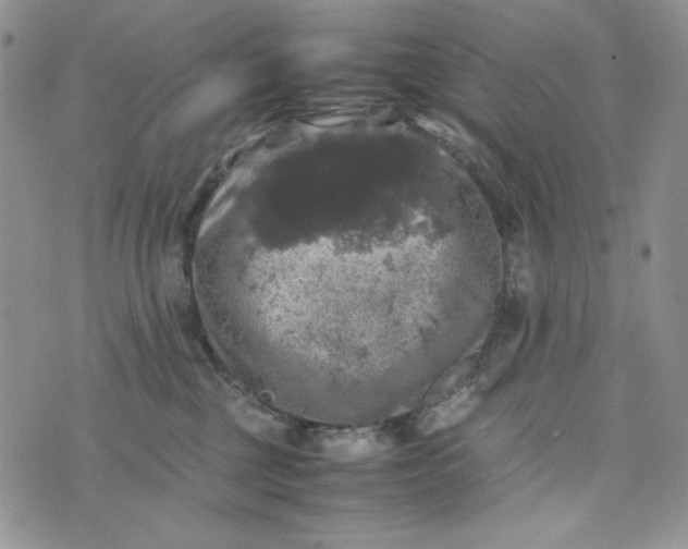 X0000074030377200609111720