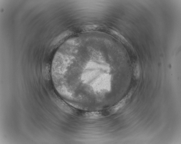 X0000074030378200609111720