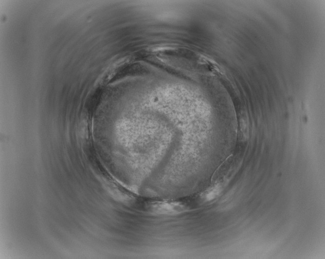 X0000074030379200609111720