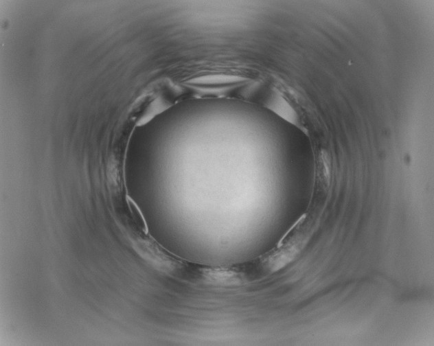 X0000074030380200609111720