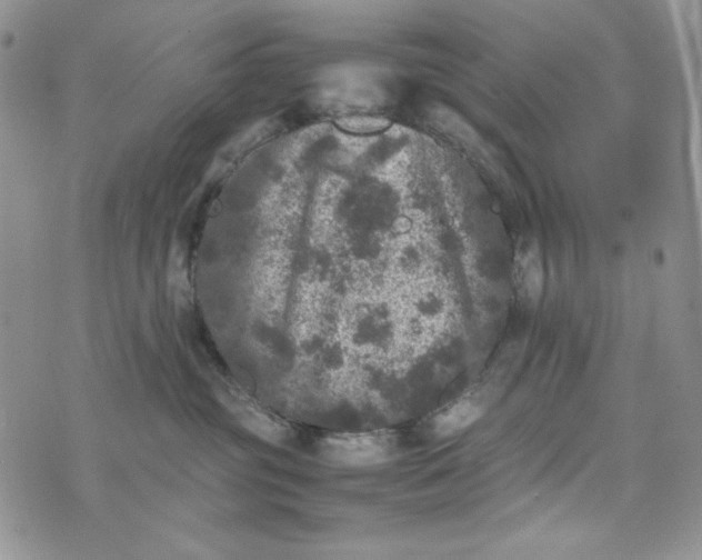 X0000074030381200609111720