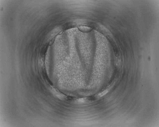 X0000074030382200609111720