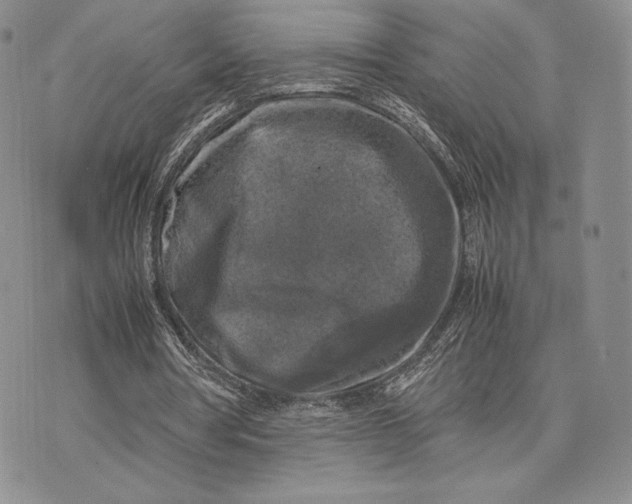 X0000074030386200609111719