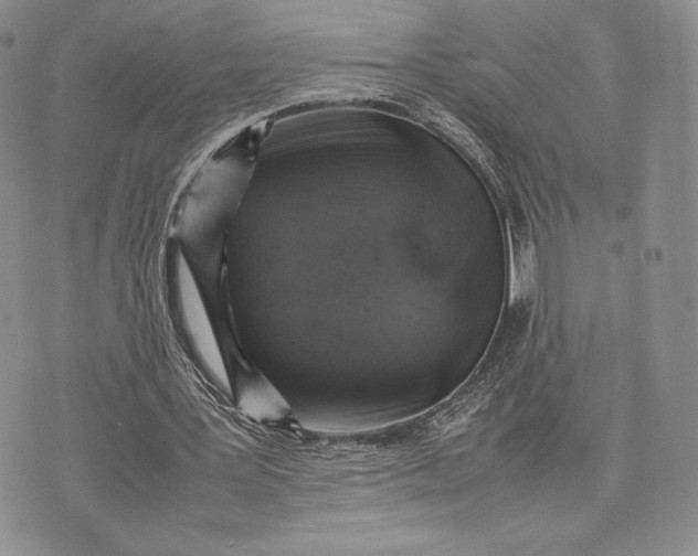 X0000074030387200609111719