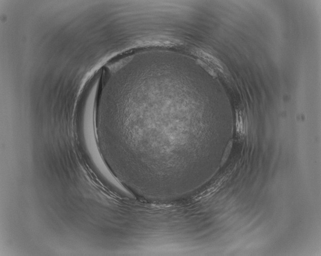 X0000074030388200609111719