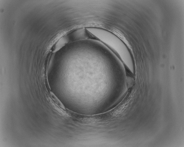 X0000074030389200609111719