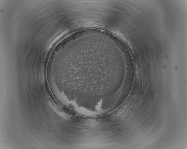 X0000074030390200609111719