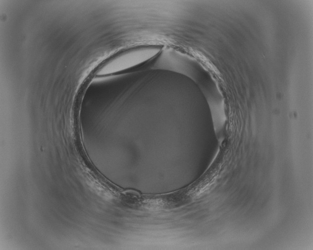 X0000074030391200609111719