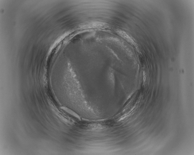 X0000074030392200609111719