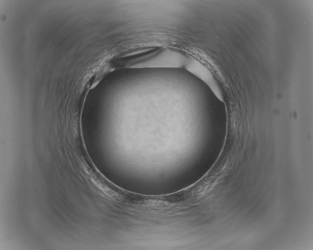 X0000074030393200609111719