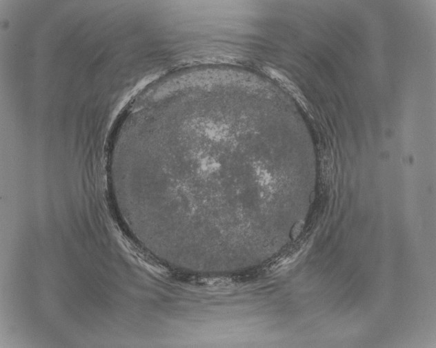 X0000074030395200609111719