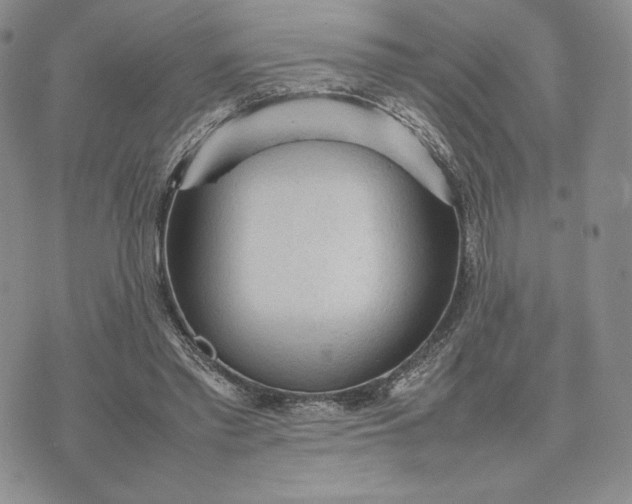 X0000074030397200609111719