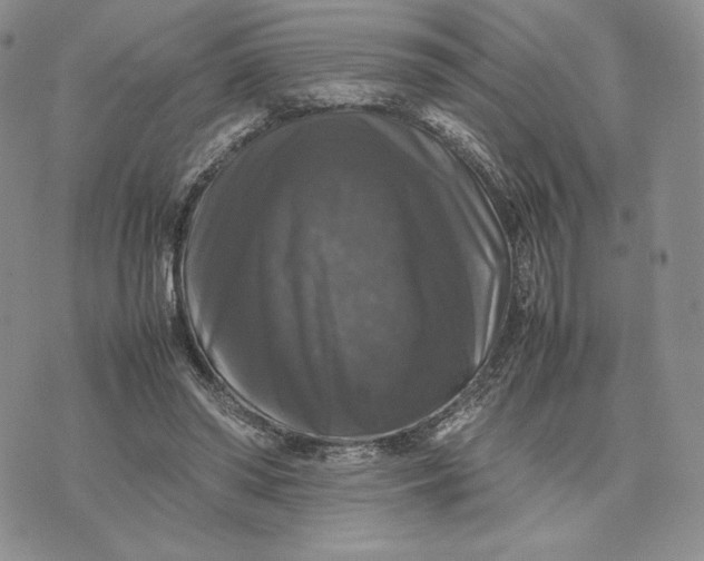 X0000074030398200609111719