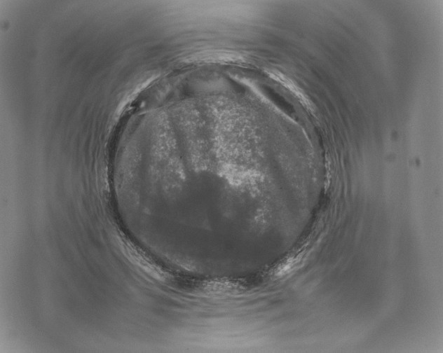 X0000074030399200609111719